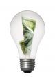 money-lightbulb